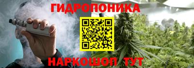 Альфа ПВП Будённовск