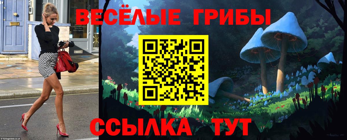 Саров  Псилоцибиновые грибы ЛСД  Вход с VPN 