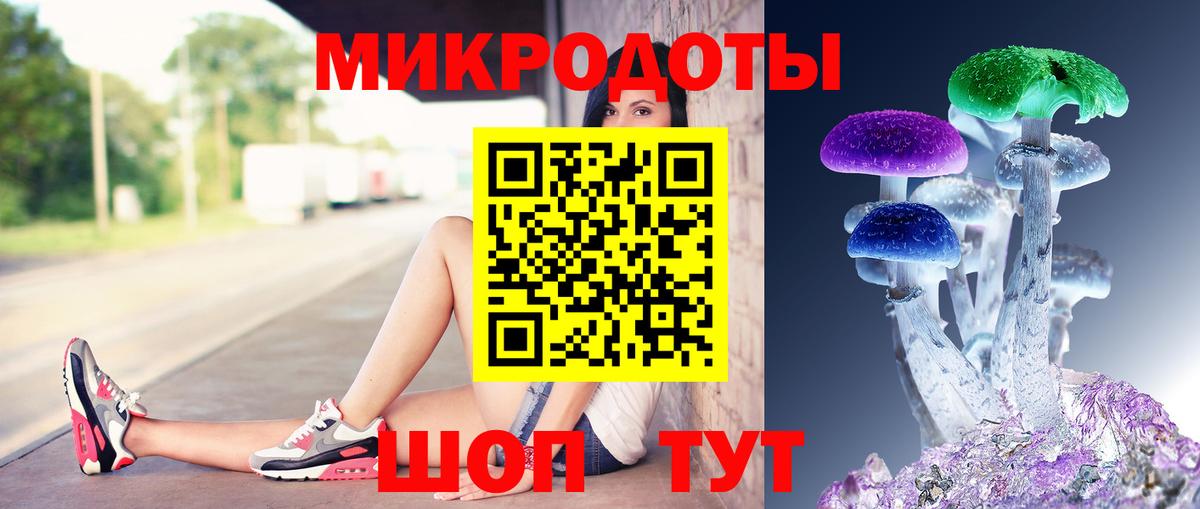 Псилоцибиновые грибы Psilocybe Саров